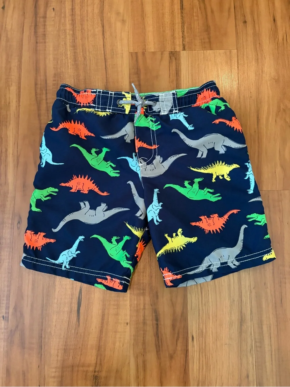 Carter’s Dinosaur Swim Trunks